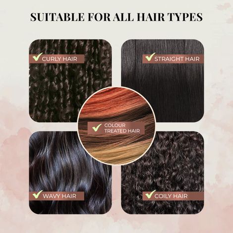 Just Herbs Anti-Dandruff Shampoo With Hibiscus And Vetiver For Men And Women