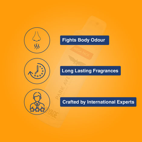 Park Avenue Voyage Deodorant Spray for men