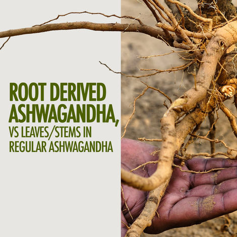 Kapiva Ashwagandha Gold Capsule