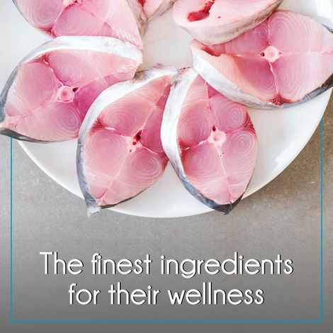 Purepet Ocean Fish Adult Dry Cat Food