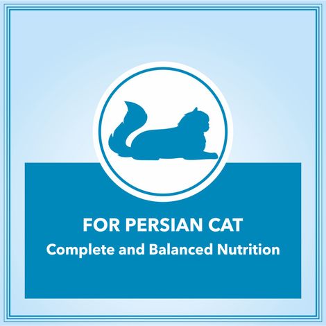 Let'S Bite Persian Active Adult Dry Cat Food (Buy 1 Get 1 Free)