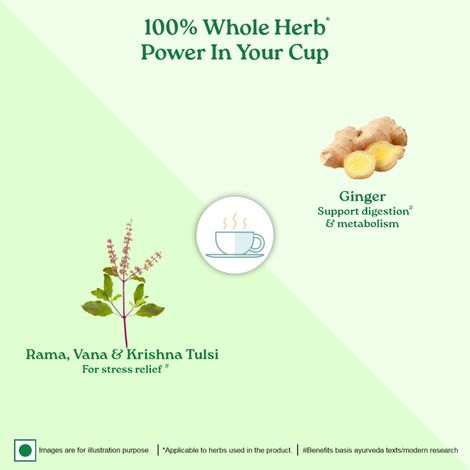 Organic India Tulsi Ginger Organic Herbal Tea
