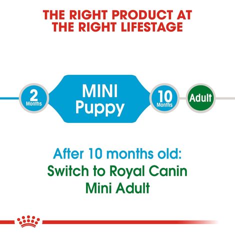 Royal Canin Mini Puppy Dog Dry Food