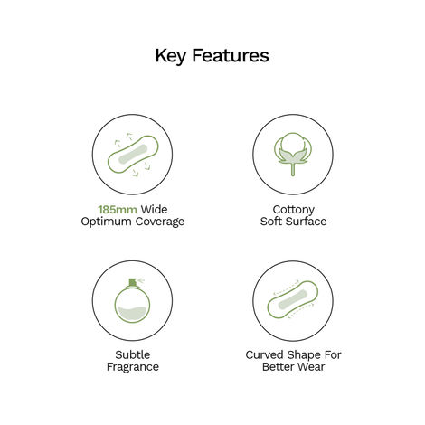 Pee Safe Aloe Vera Panty Liners for Everyday Protection