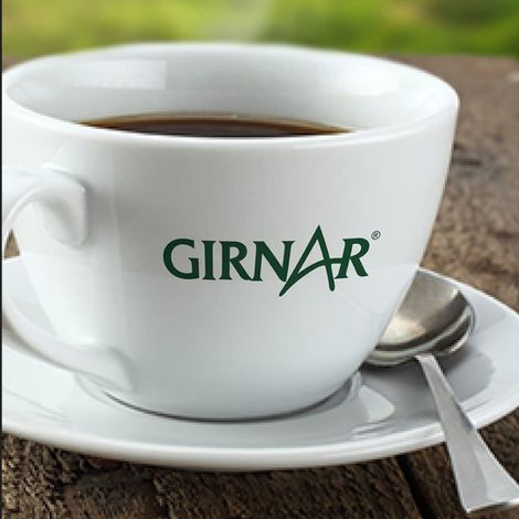 Girnar Detox Desi Kahwa Green Tea