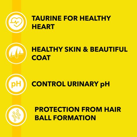 Purepet Sea FOOD Adult Cat FOOD