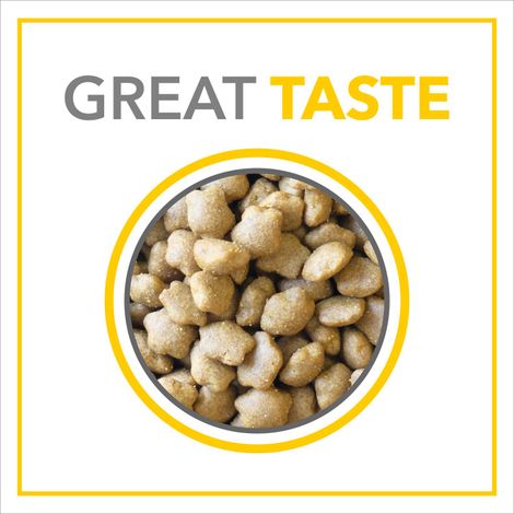 Purepet Sea FOOD Adult Cat FOOD