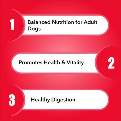 Purepet Meat And Rice Adult Dog FOOD