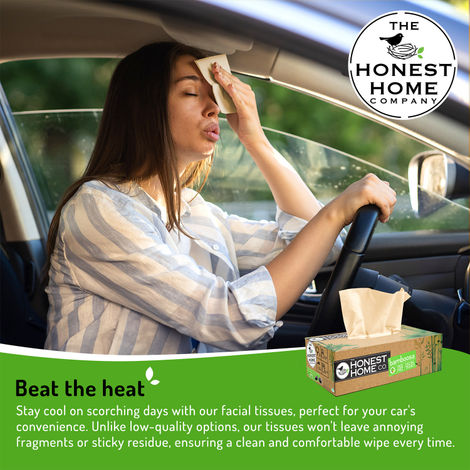 The Honest Home Company Bamboosa 2 Ply Facial Tissue - 100 Pulls - Brown