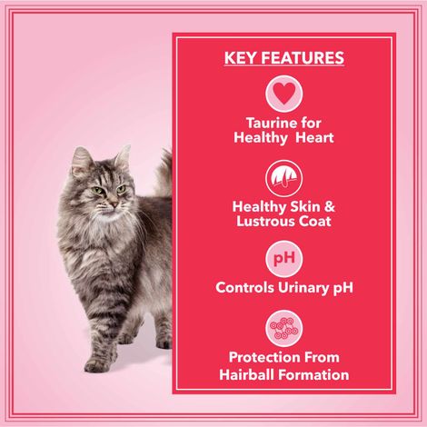 Let'S Bite Active Adult Dry Cat Food - Ocean Fish (Buy 1 Get 1 Free)