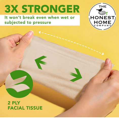 The Honest Home Company Bamboosa 2 Ply Facial Tissue - 100 Pulls - Brown