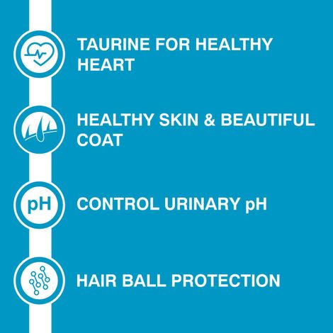 Purepet Ocean Fish Kitten Dry Cat Food