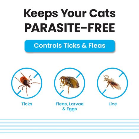 Vivaldis Spot On for Cats/Kittens - Ticks, Fleas & Lice, Monthly Preventive Treatment with Fipronil