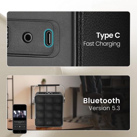 Portronics Harmony II 60W HD Sound Portable Bluetooth 5.3V Speaker | Type-C | Grey