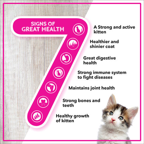 Active Ocean Fish Dry Kitten Cat Food (Buy 1 Get 1 Free)