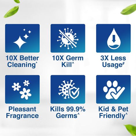 Lizol Floral Floor Cleaner Liquid