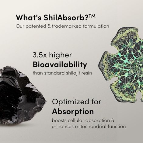 Man Matters Shilajit Gummies (30 Gummies)