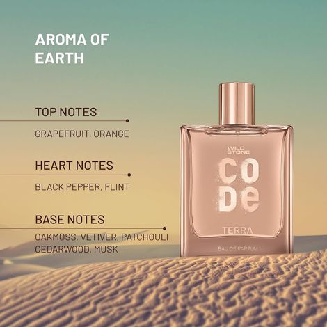 Wild Stone Code Terra Eau De Parfum Mature And Sleek Personality Premium Perfume For Men