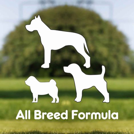 Purepet Pressed Chew Bones Dog Treats 4 Inches