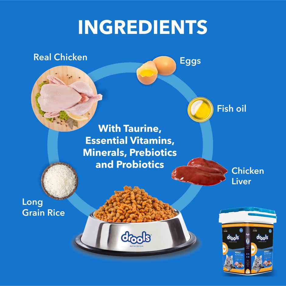 Drools Real Chicken Adult Dry Cat Food Inside Container 5kg