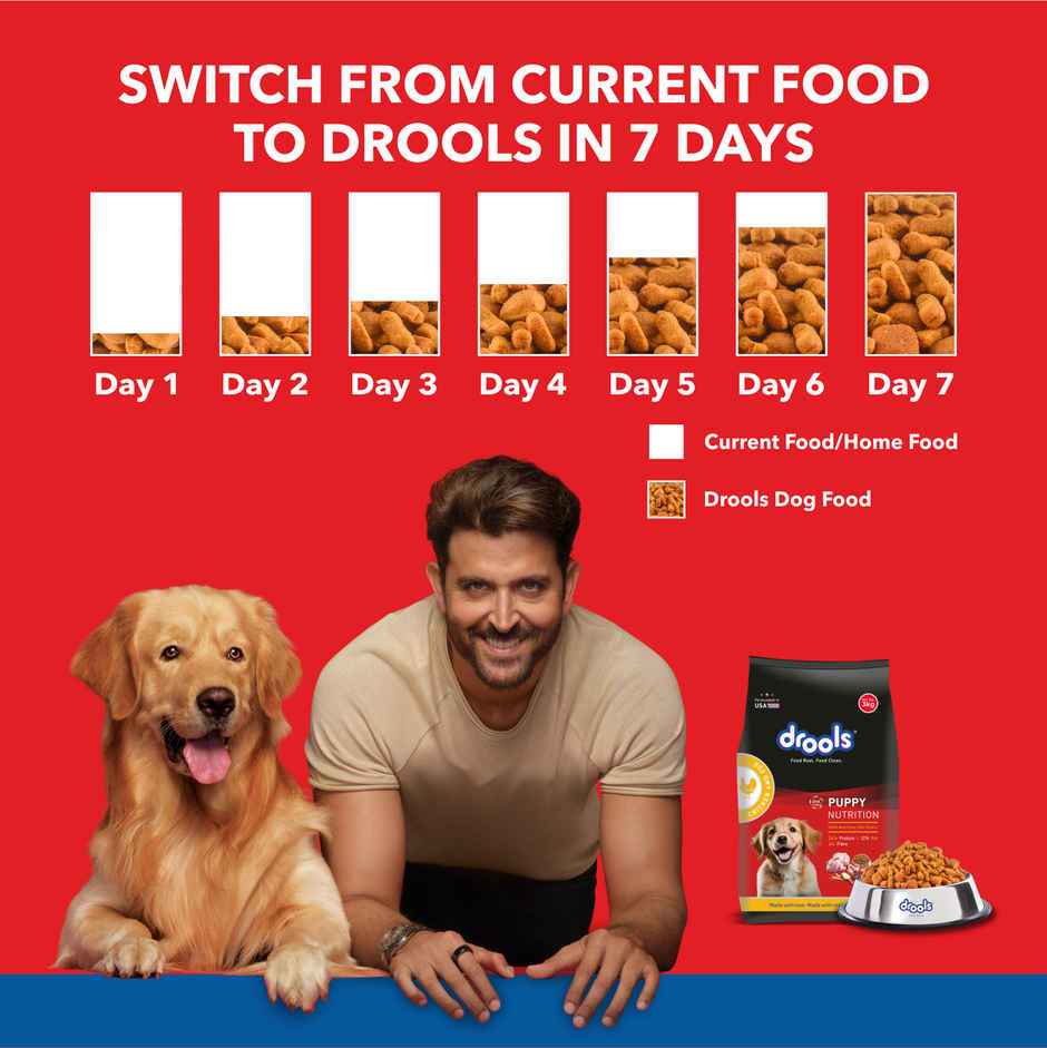 Drools Chicken And Egg Puppy Dry Dog Food