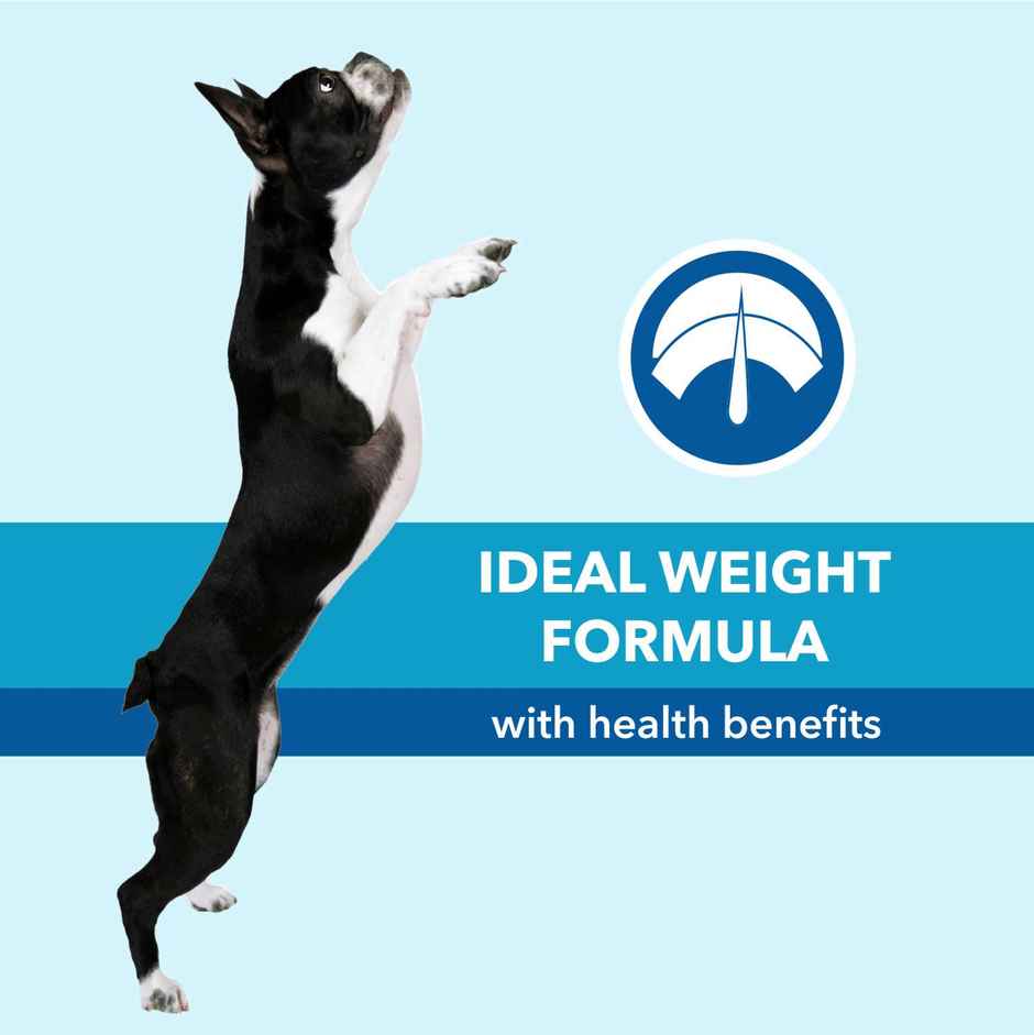 Purepet Chicken | VEG Adult Dog FOOD