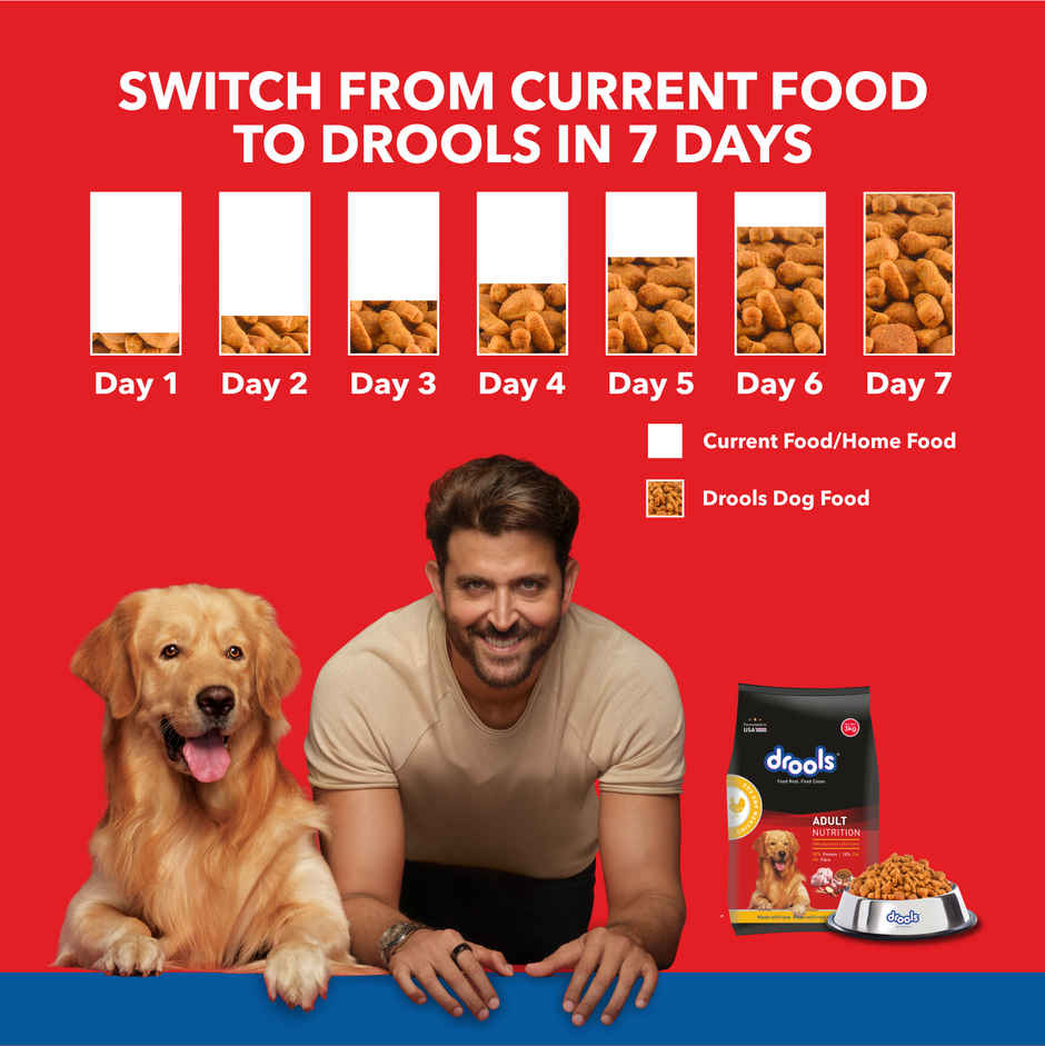 Drools Chicken and Egg Adult Dog Food