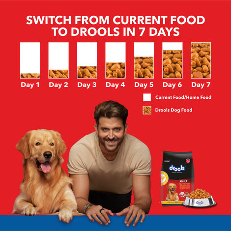 Drools Chicken And Egg Adult Dry Dog Food (3 kg) 