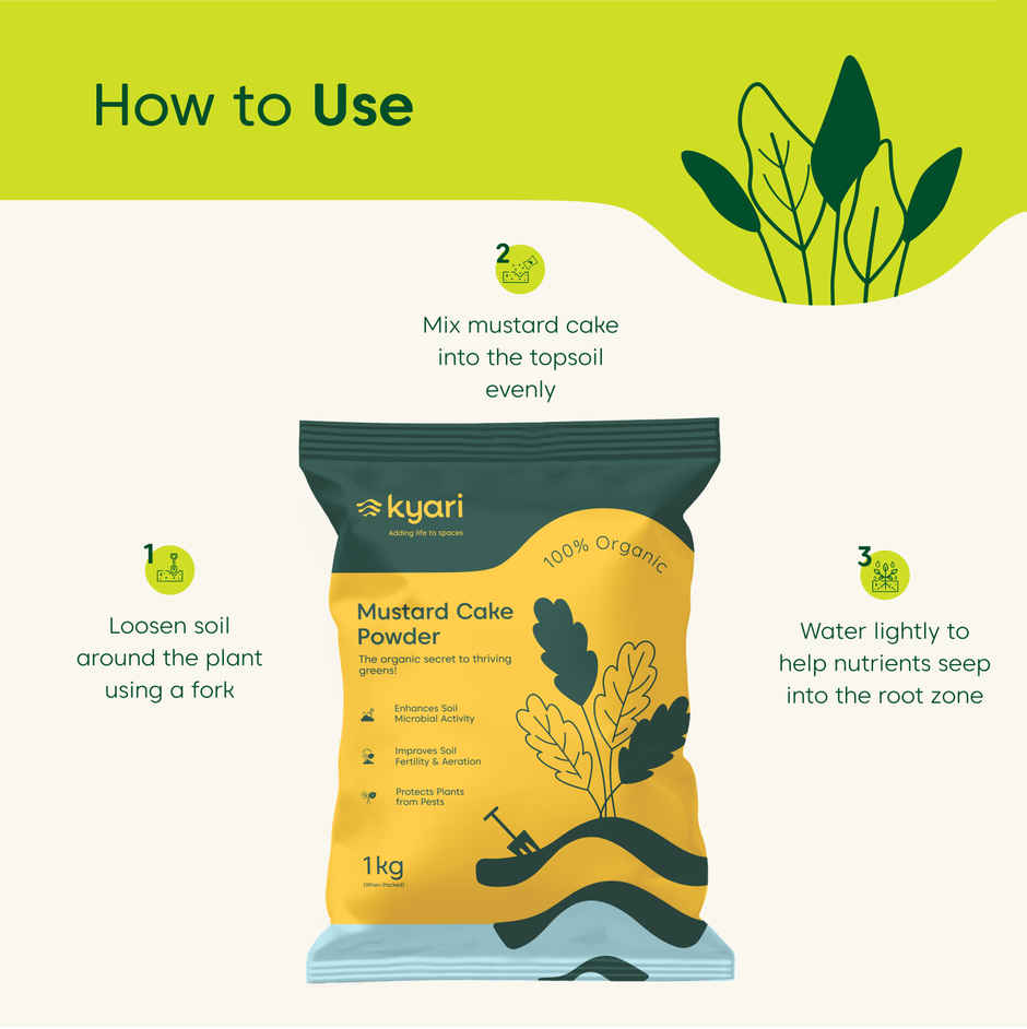 Kyari Mustard Cake Powder