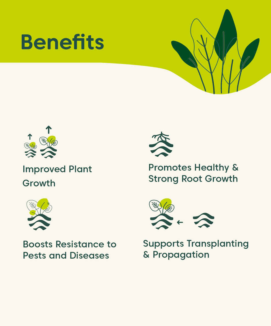 Kyari 5 in 1 Protection Oils for Plants
