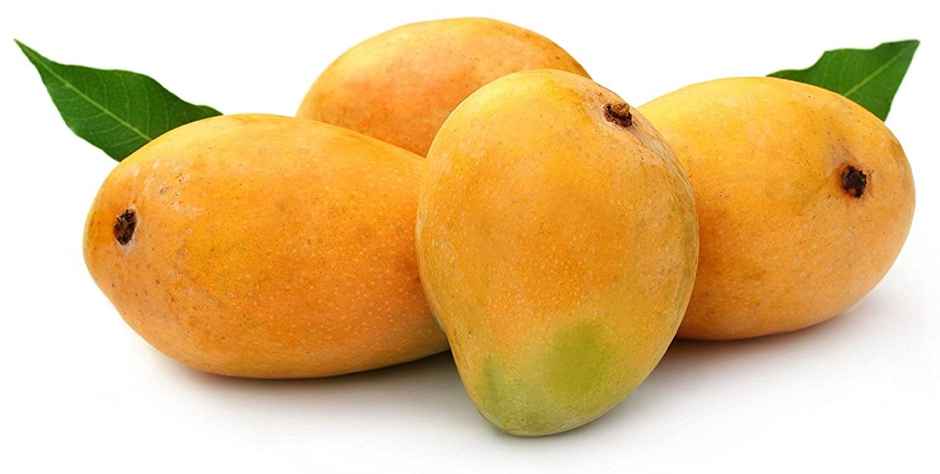 Mango Alphonso South