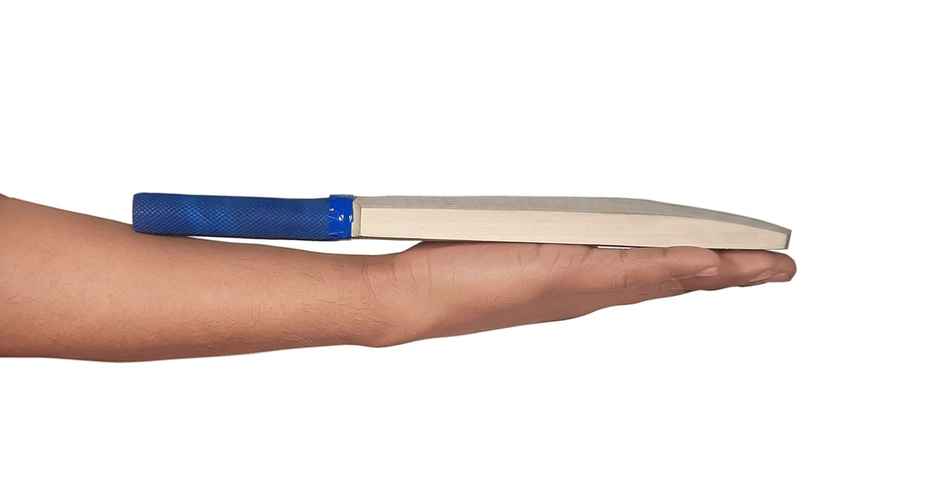 Classic Distributor Signature Cricket Bat | 15 inch | 5+ years