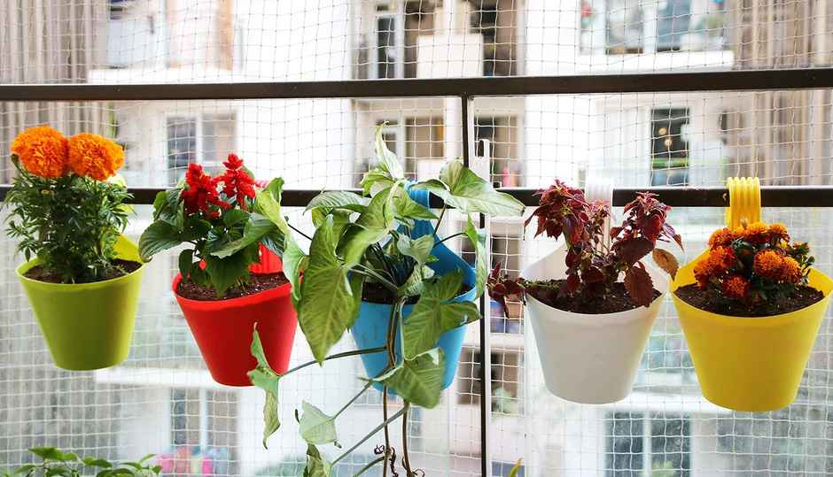 Nayra Plastic Railing Hanging Hook Pot Blue Color Indoor and Outdoor Hook Pots | Set of 5