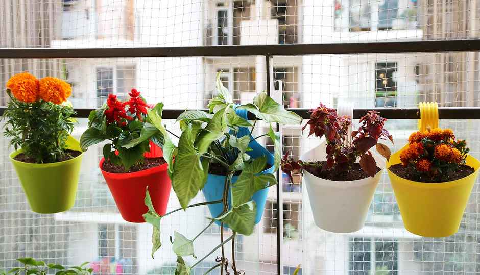 Leafy Tales Plastic Hook Hanging Pot | Multicolor | 29 x 12 x 22 cm | 10 pcs | Medium