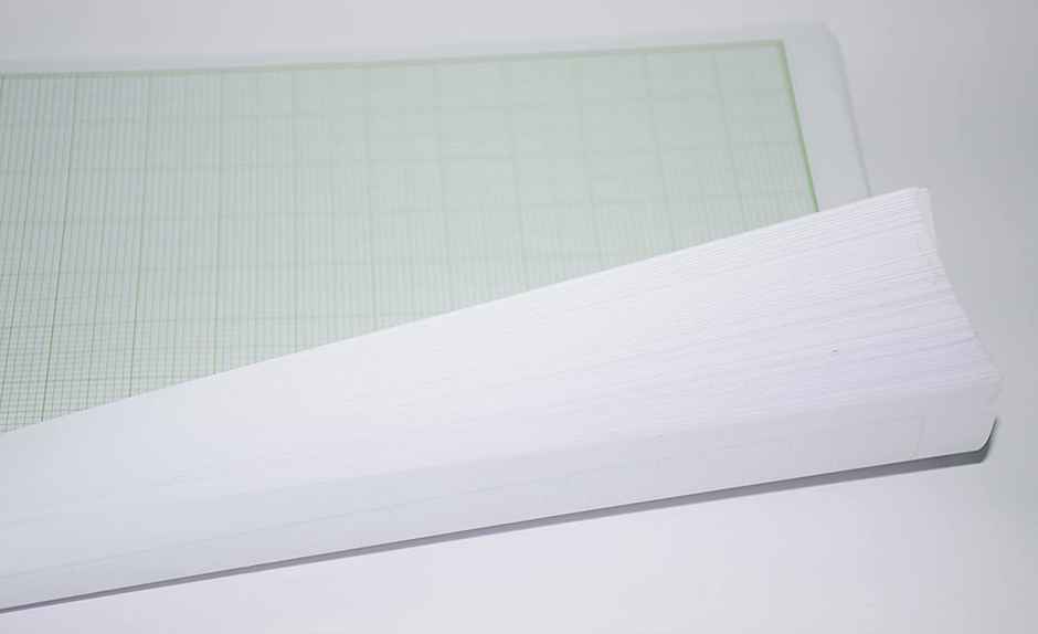 Paperbees A4 size Graph Paper Green Ruled Loose Sheet