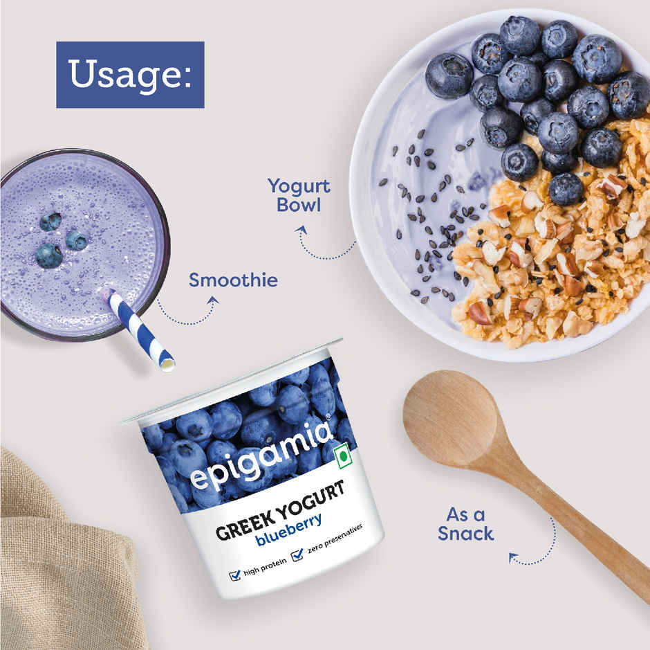 Epigamia Greek Yogurt Blueberry