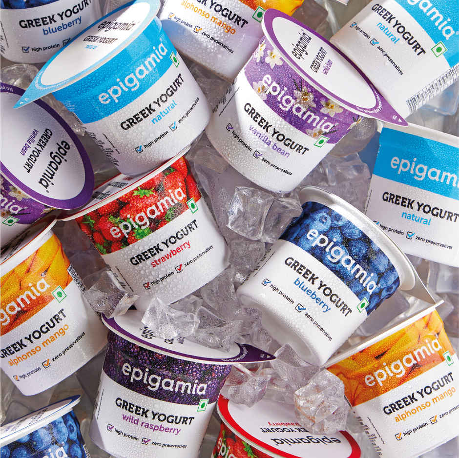 Epigamia Greek Yogurt Blueberry