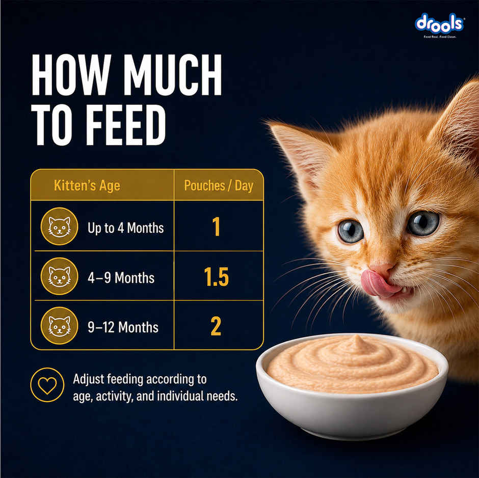 Drools Chicken Mousse Kitten Wet Food