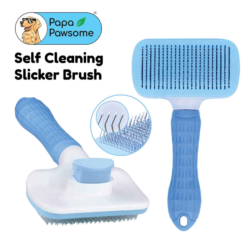 Papa Pawsome Self Cleaning Slicker Brush - Rectangle