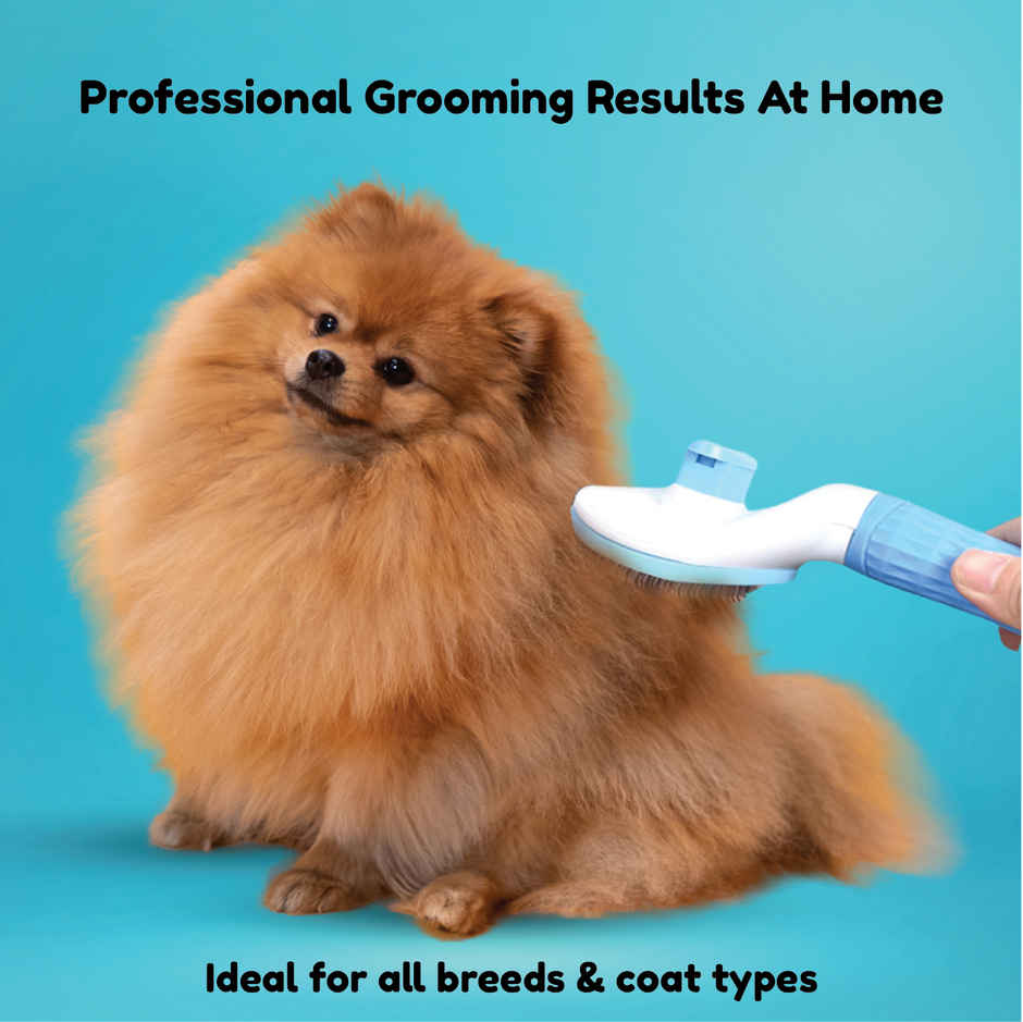 Papa Pawsome Self Cleaning Slicker Brush - Rectangle