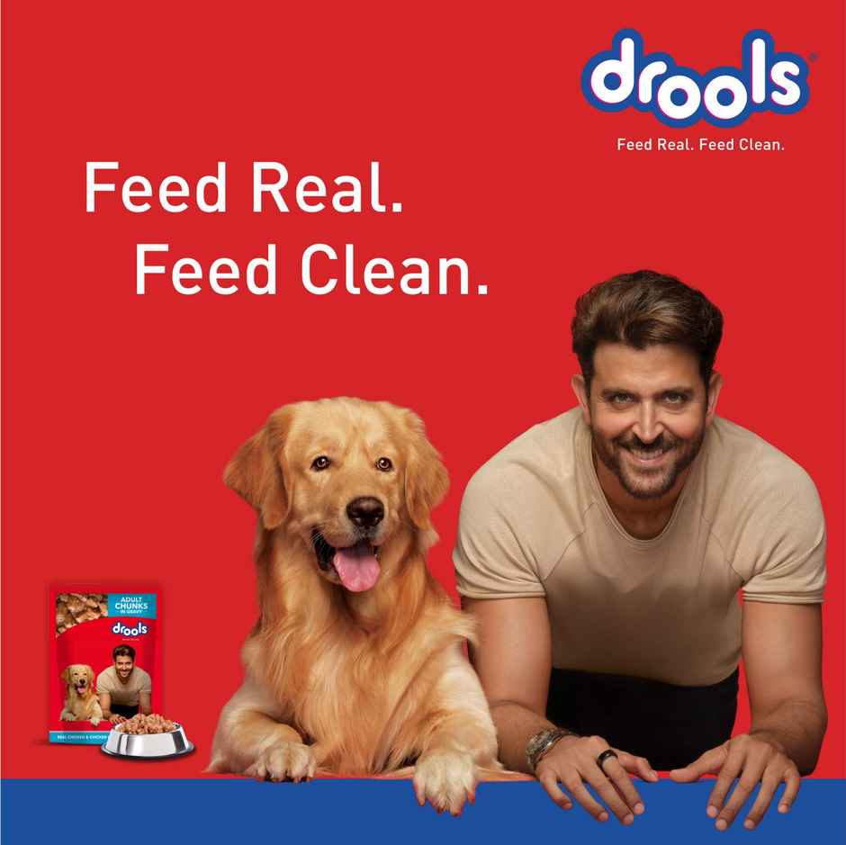 Drools Adult Wet Dog Food Chicken And Chicken Liver Chunks In Gravy (10 + 2 Pouches Free)