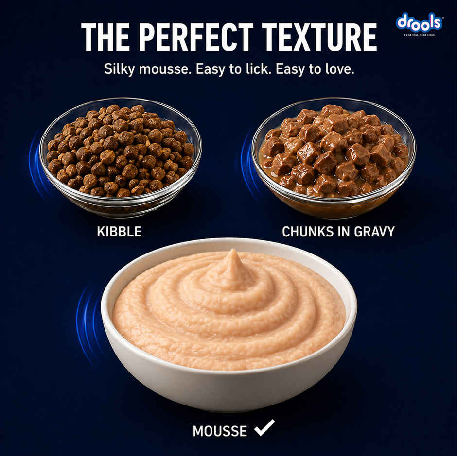 Drools Chicken Mousse Kitten Wet Food