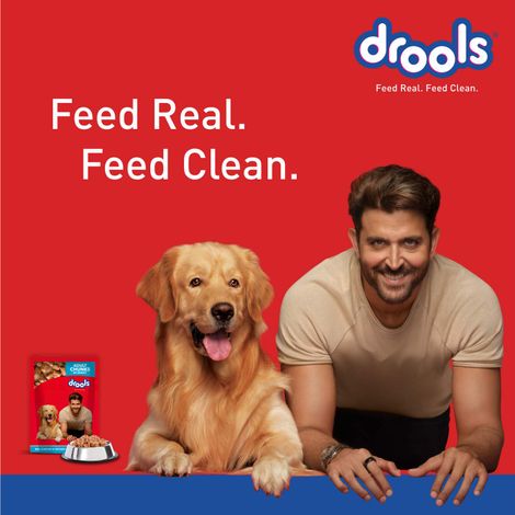 Drools Adult Wet Dog Food - Real Chicken & Liver Chunks in Gravy