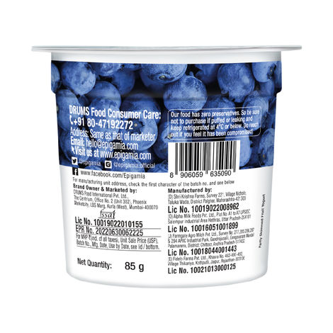 Epigamia Greek Yogurt Blueberry