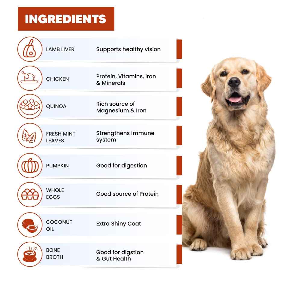 Goofy Tails Lamb & Pumpkin Fresh Dog Food | Gluten Free | Wet Dog and Puppy Food