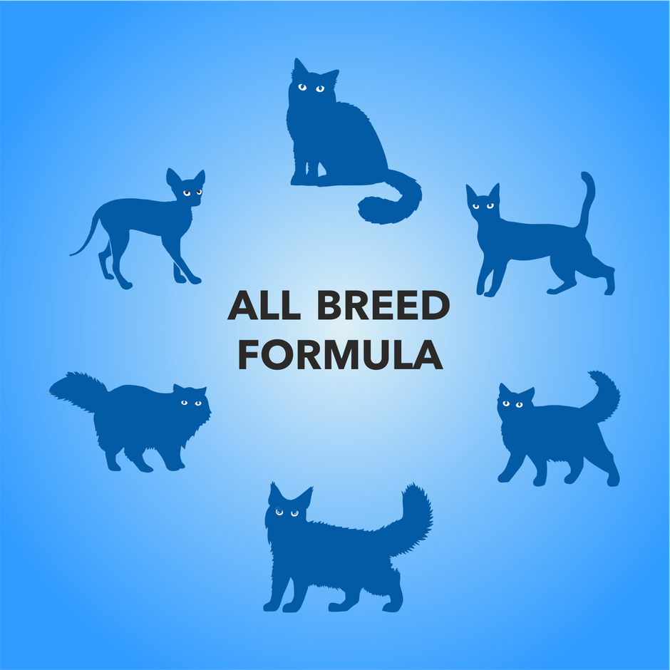 Purepet Cat Real Chicken & Liver gravy