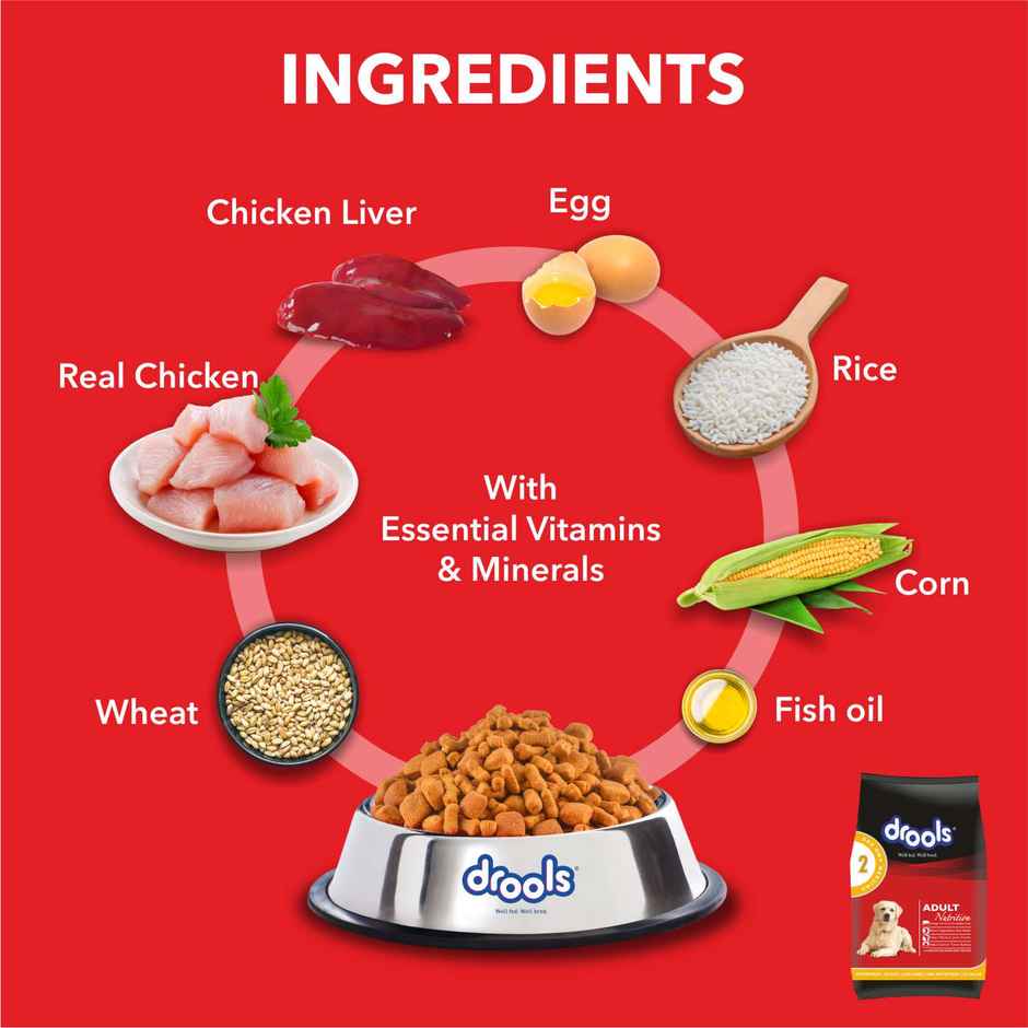 Drools Adult Chicken And Egg Dry Dog FOOD