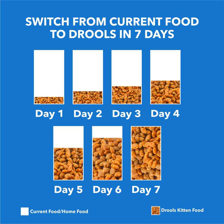 Drools Real Chicken Adult Dry Cat Food Inside Container 5kg