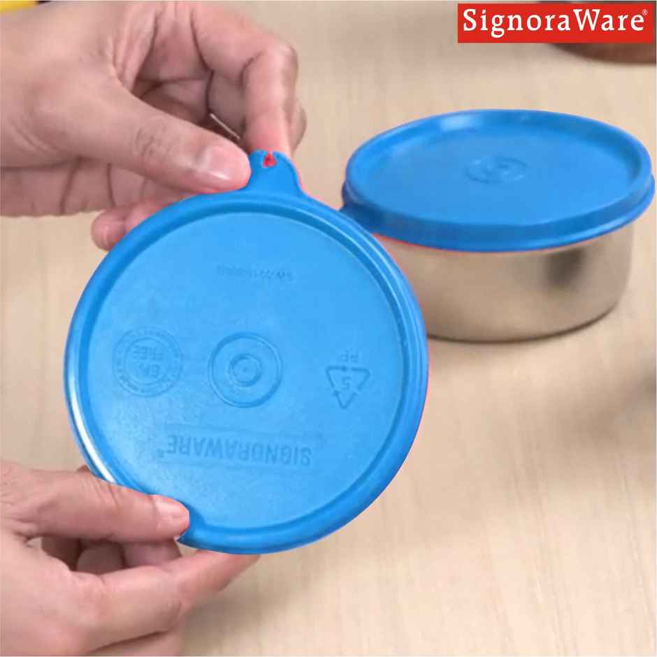 Signoraware Executive Stainless Steel Container | 350 ml | Blue