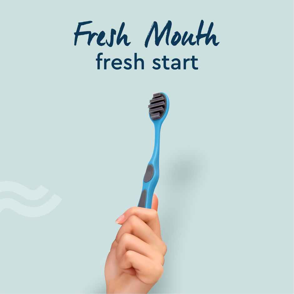 GUBB Tongue Cleaner T | Assorted